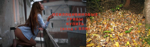 амф Армянск