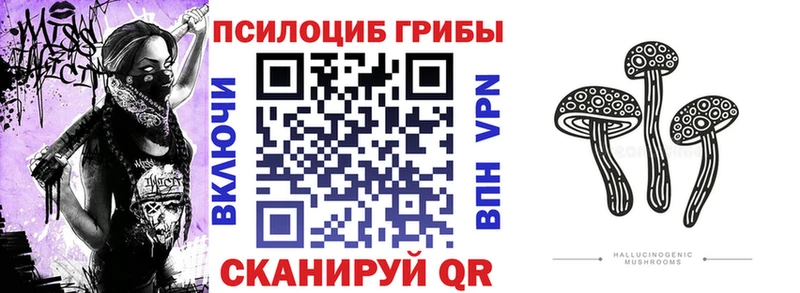 Купить закладки  Ветлуга  Галлюциногенные грибы ЛСД 