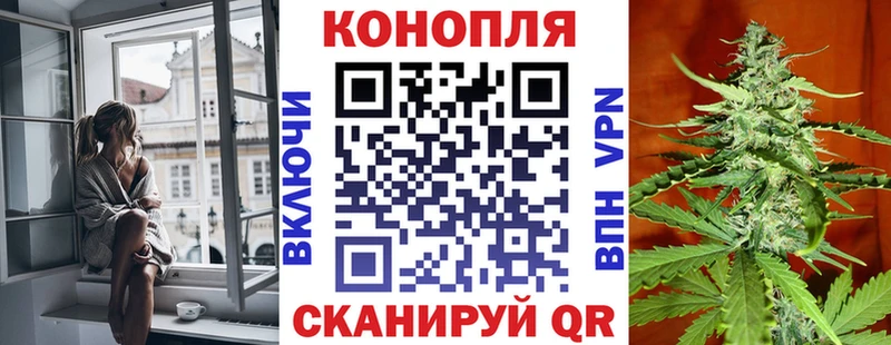 Бошки Шишки Amnesia Ветлуга